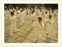 Nei Yang Gong and Tai Ji Yang style