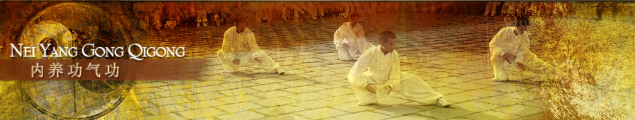 Nei yang gong and Tai Ji Quan