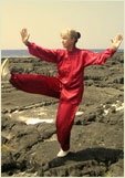 The National Medical Qigong Hospital and Training Centre